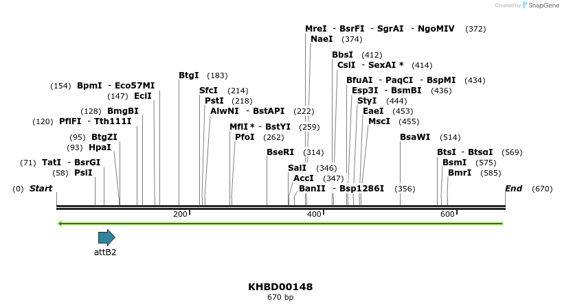 41972_map
