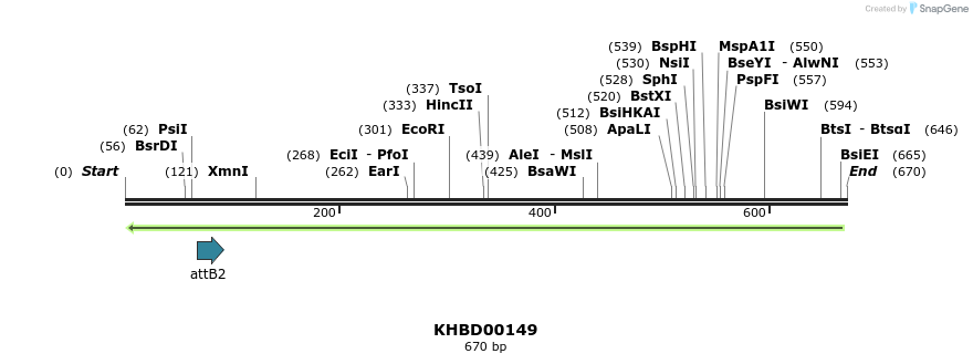 41975_map