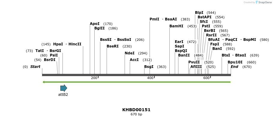 41977_map