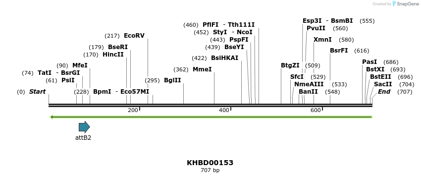 41978_map