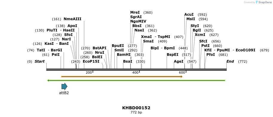 41979_map