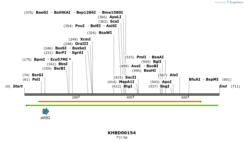 41981_map