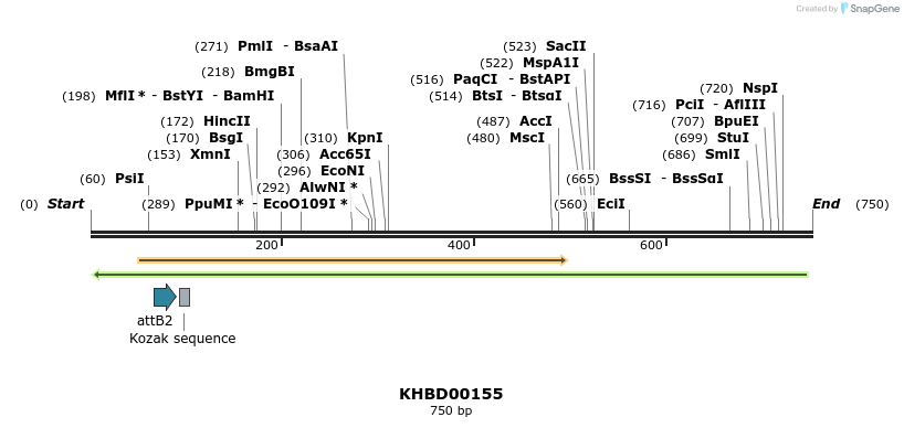 41983_map