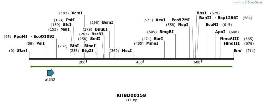 41985_map