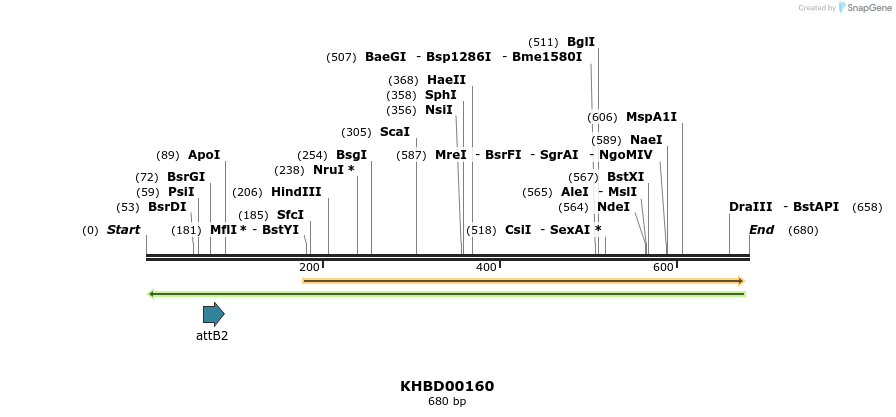 41987_map