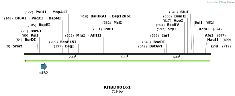 41988_map