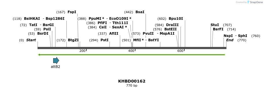 41989_map