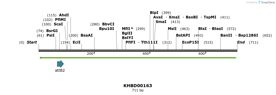 41990_map