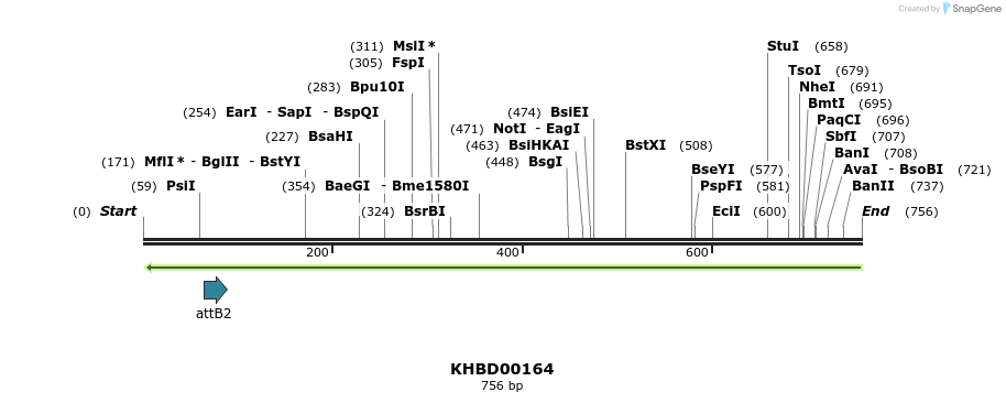 41991_map