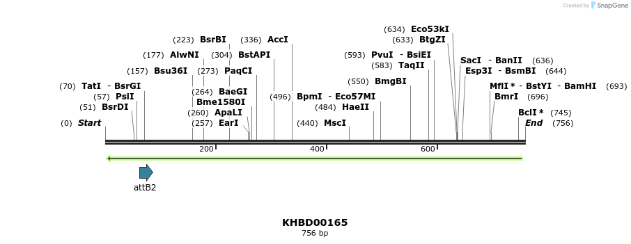 41992_map