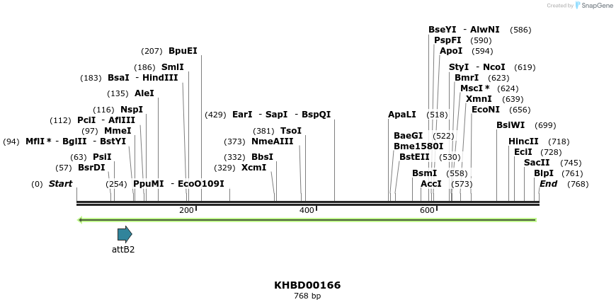 41994_map
