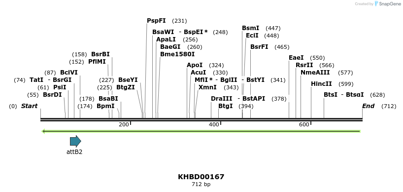 41995_map