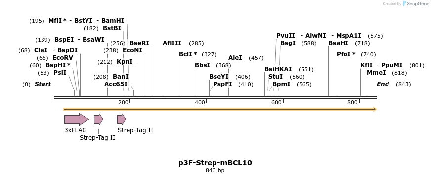 41998_map