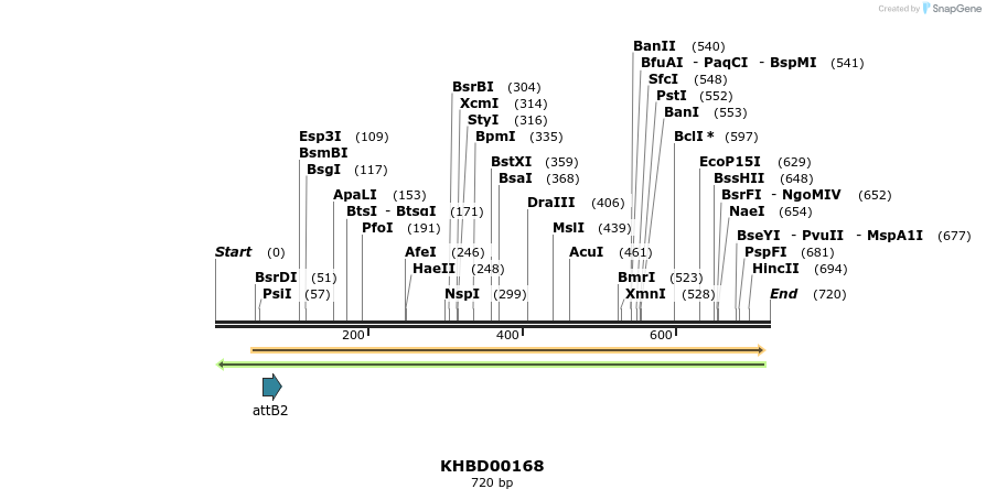 42002_map