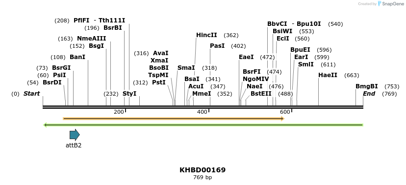 42004_map