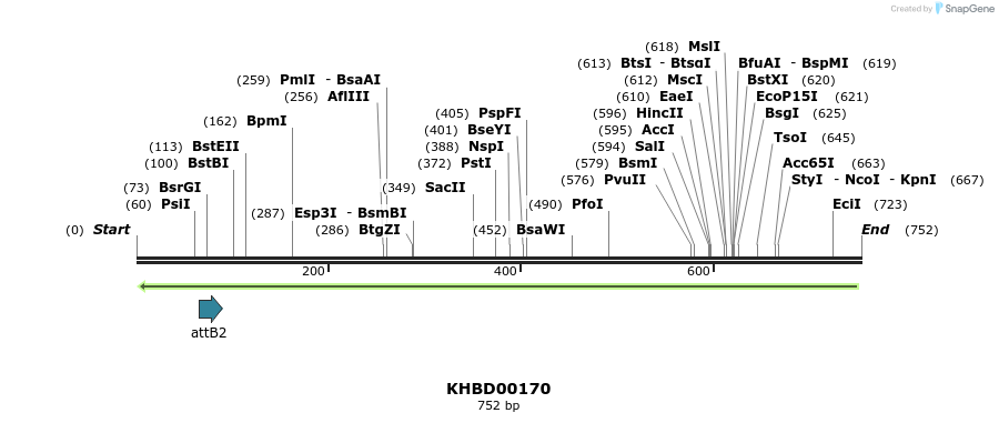 42005_map