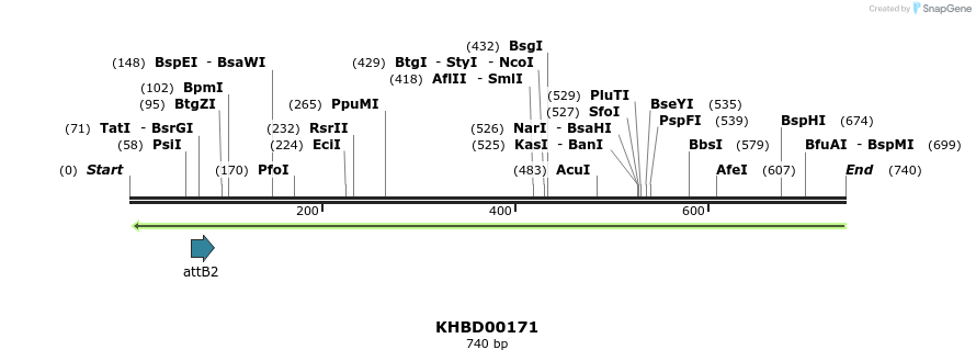 42006_map
