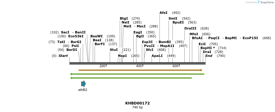 42007_map