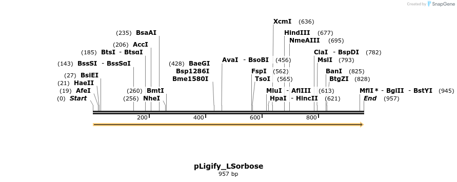 420071_map
