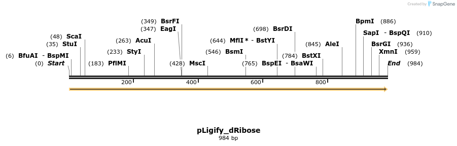 420076_map