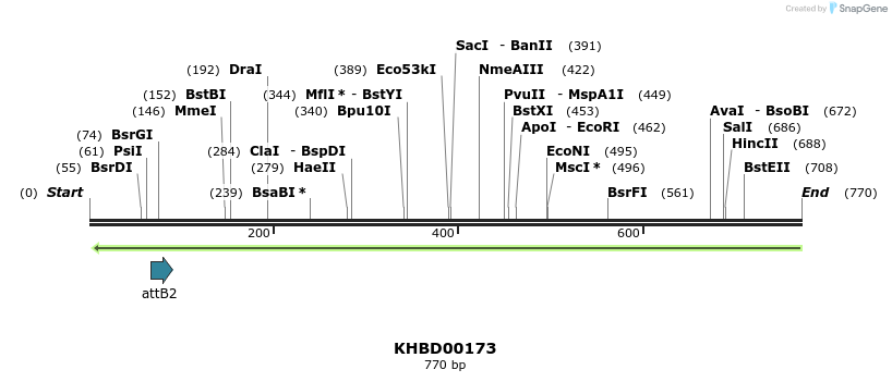42008_map
