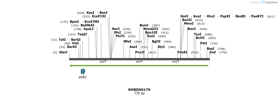 42011_map