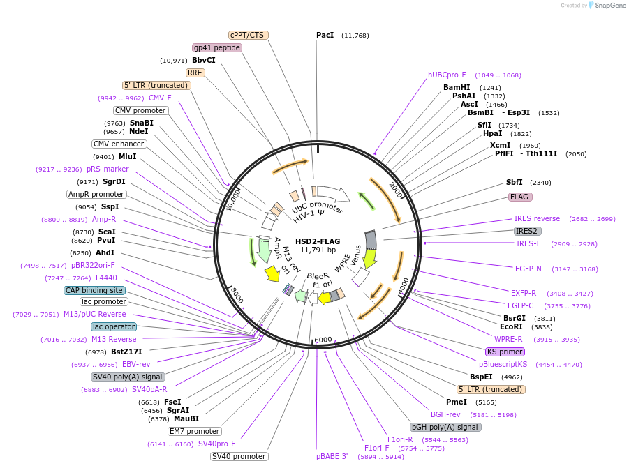 420155_map