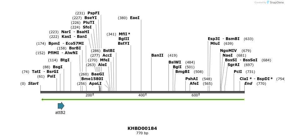 42020_map