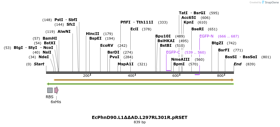 42025_map