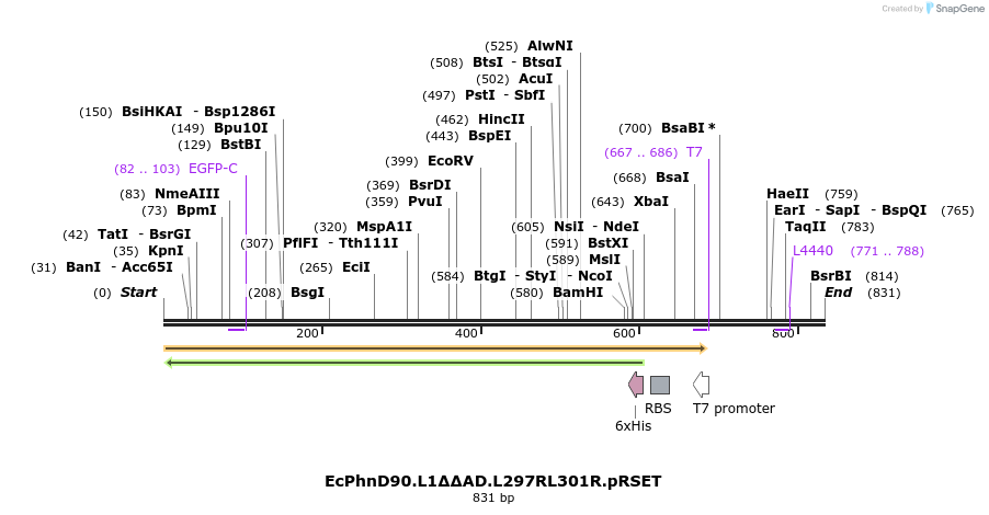 42027_map