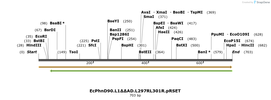 42028_map