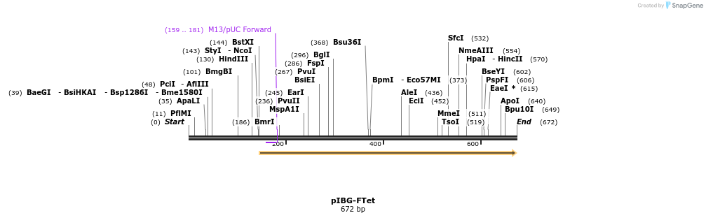 42029_map