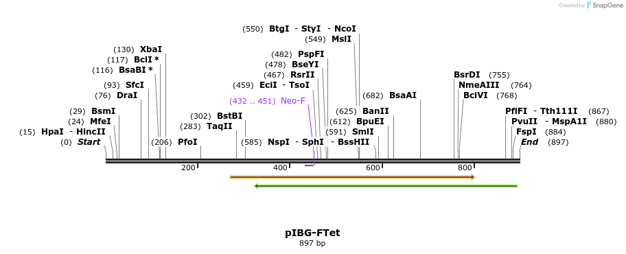 42030_map