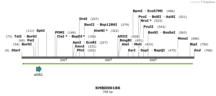 42031_map