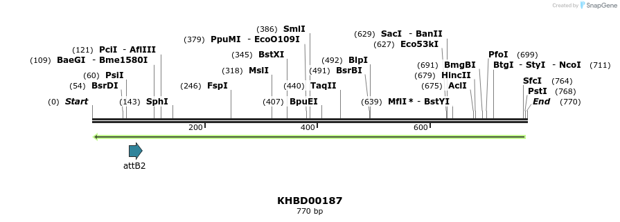42032_map