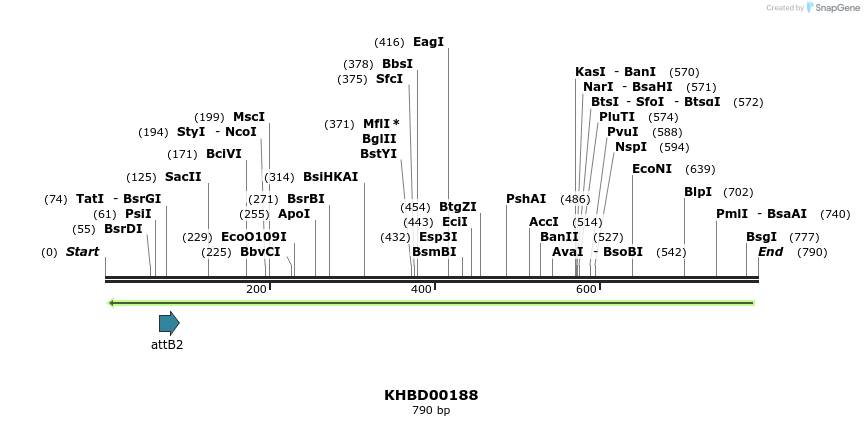 42033_map