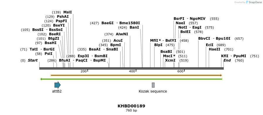 42035_map