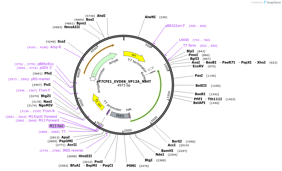 420352_map