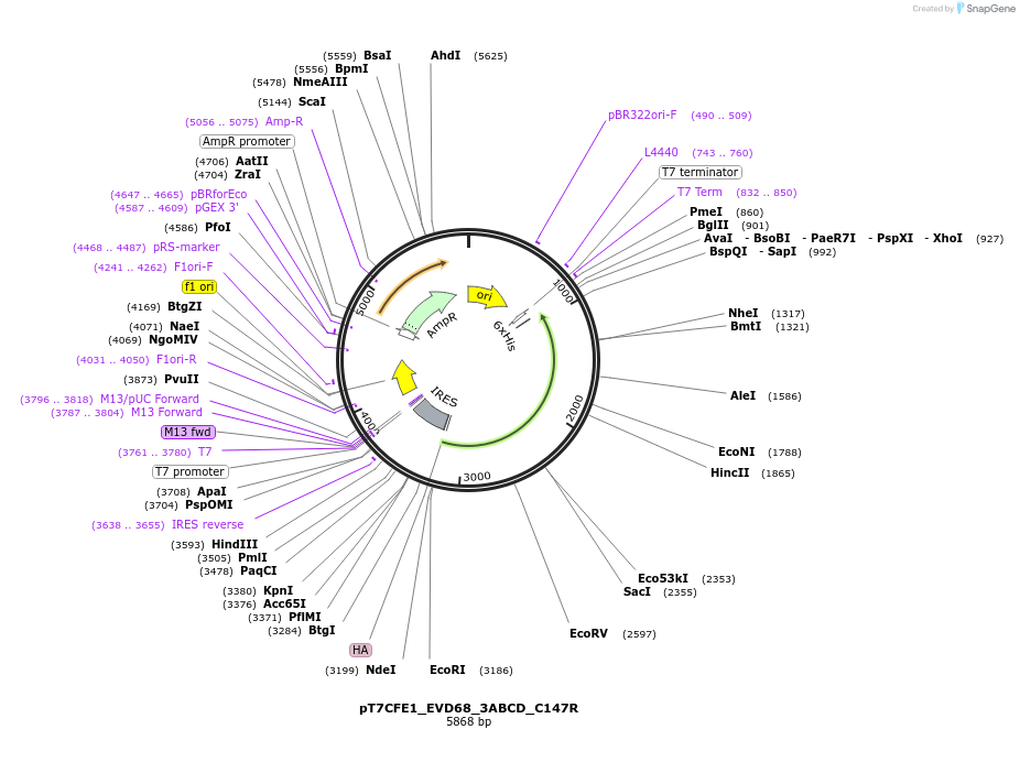 420353_map