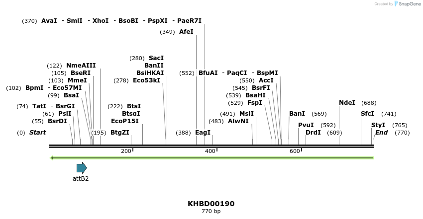 42036_map