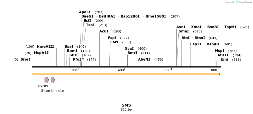 42038_map