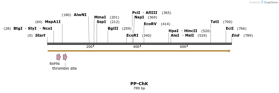 42040_map