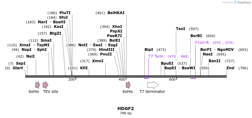 42041_map