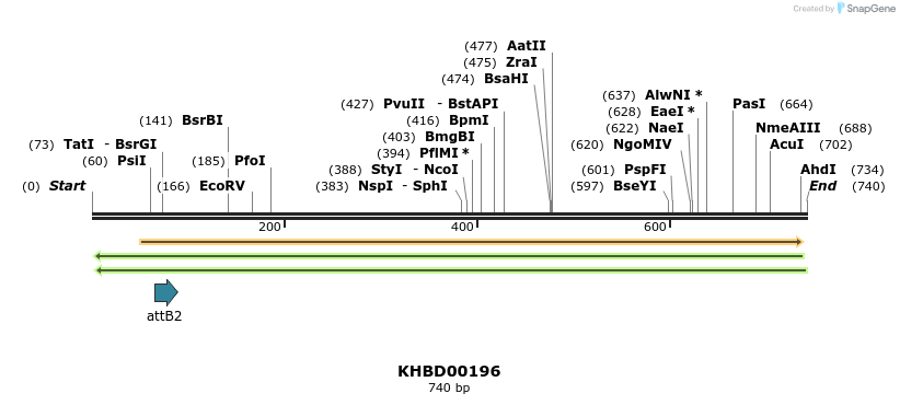 42045_map
