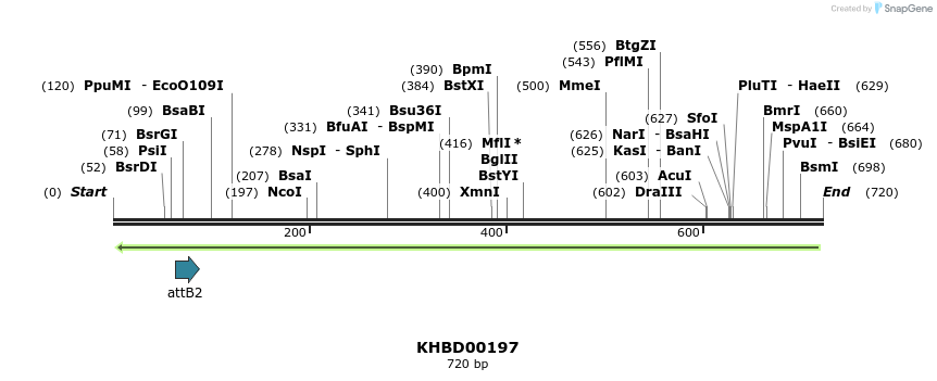 42046_map