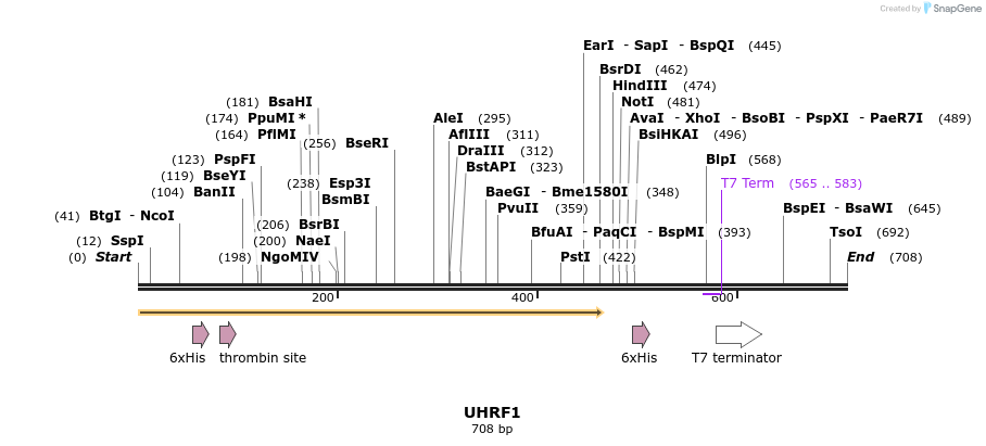 42050_map