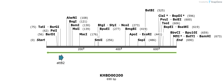 42051_map