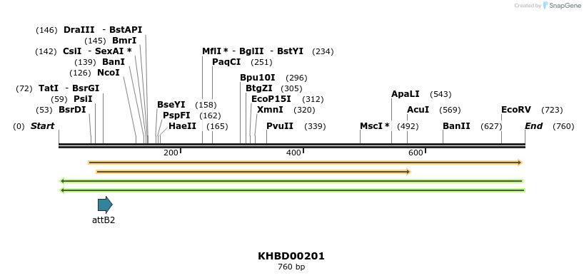42052_map
