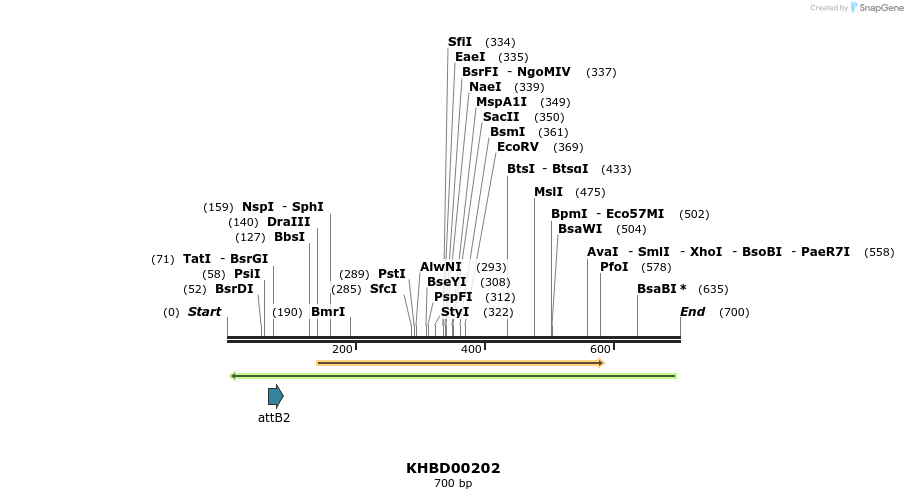 42053_map