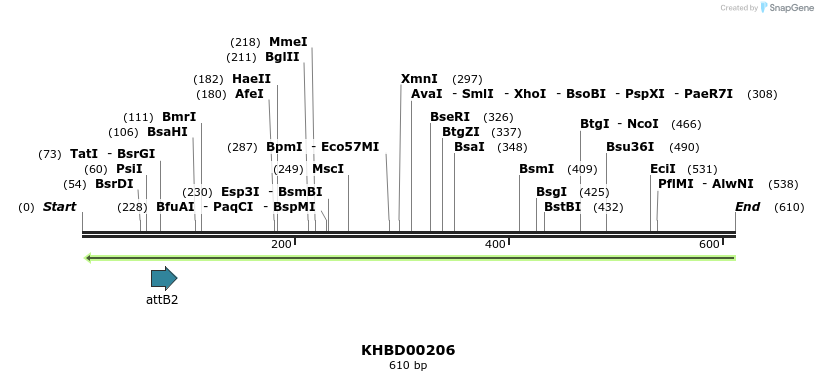 42055_map